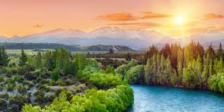 Financial Forecasting for ABC Ltd